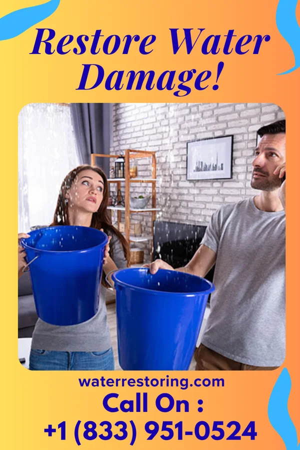water restoration Pro Sewage Cleanup Inc Lynnville