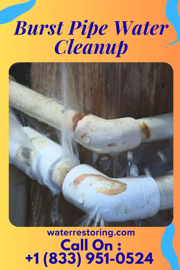 Burst Pipe Water Cleanup in Lynnville, TN
