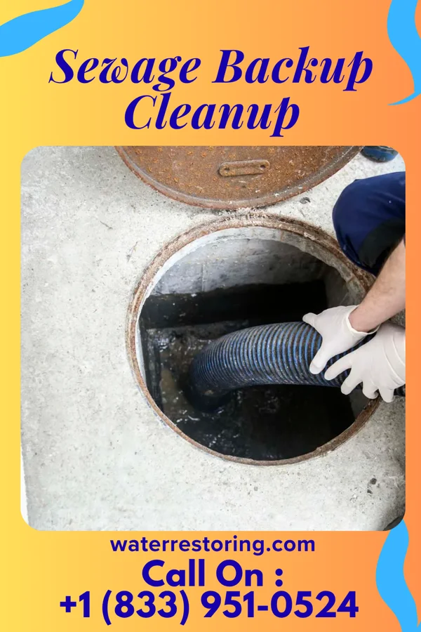 Sewage Backup Cleanup in Lynnville, TN
