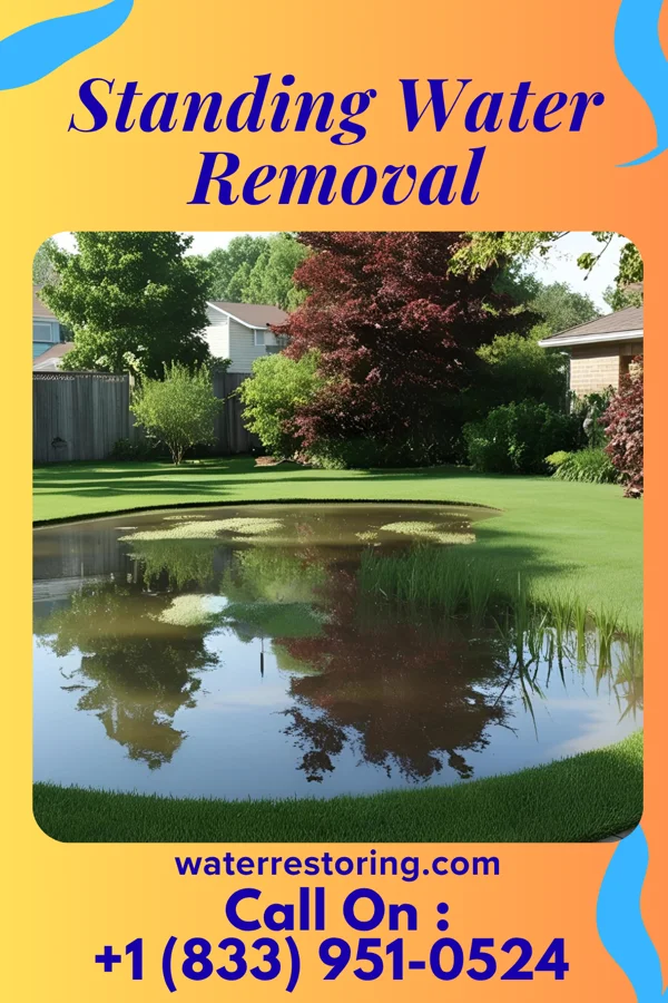 Standing Water Removal in Lynnville, TN